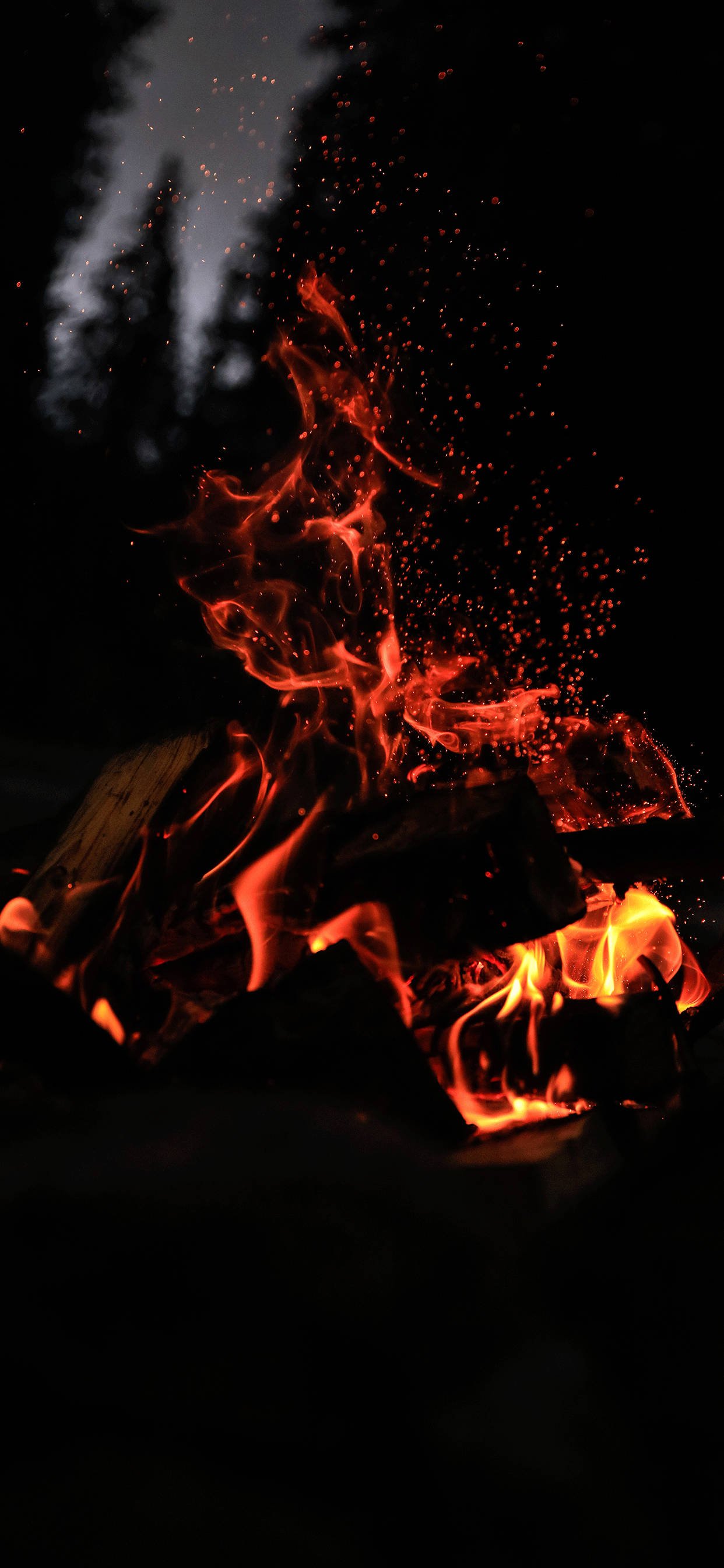 iPhone Fire, Night Forest, orange flames, 2K Phone Wallpaper
