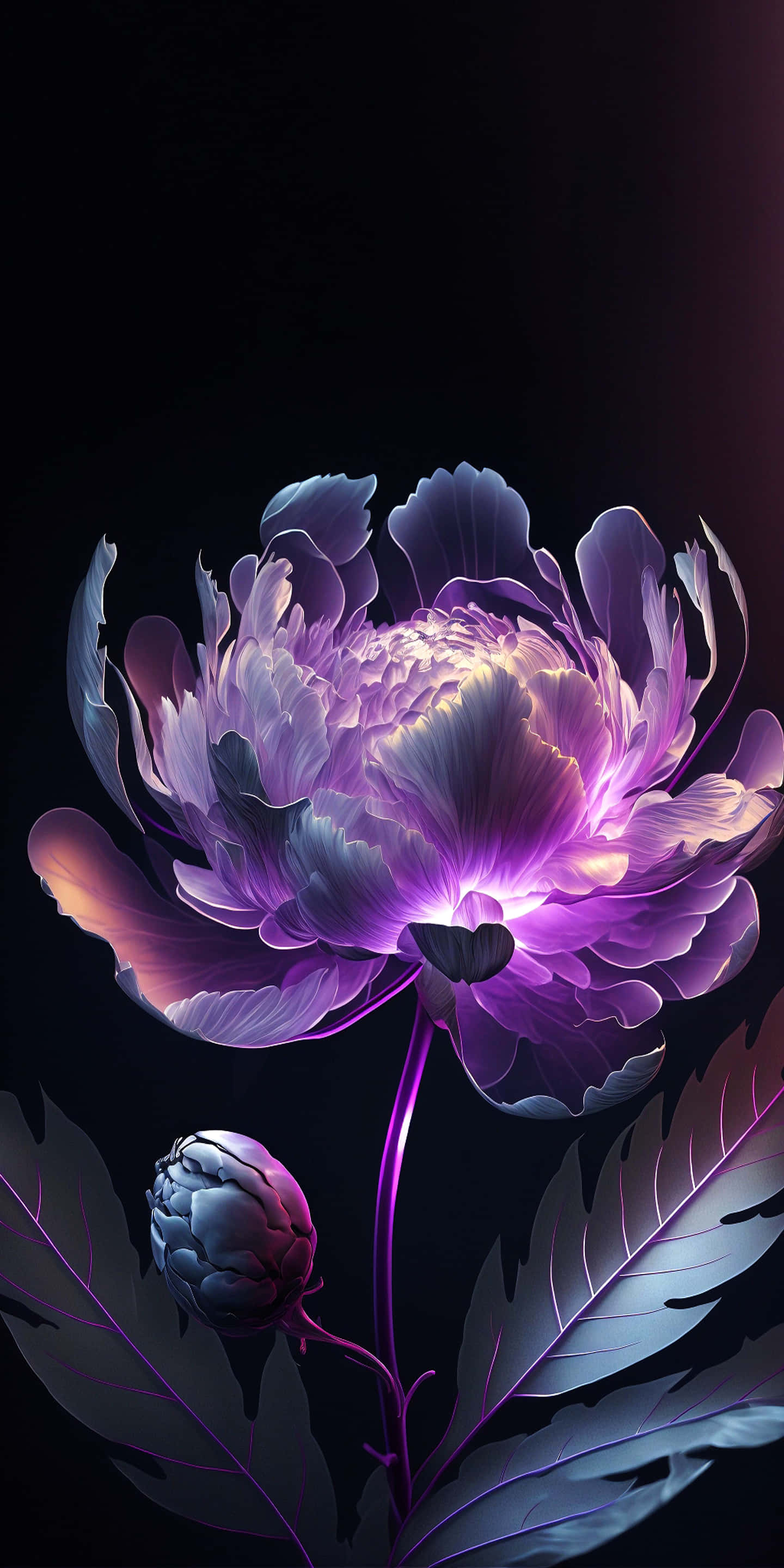 iPhone Flowers, luminous purple peony, dark background, 2K Phone Wallpaper