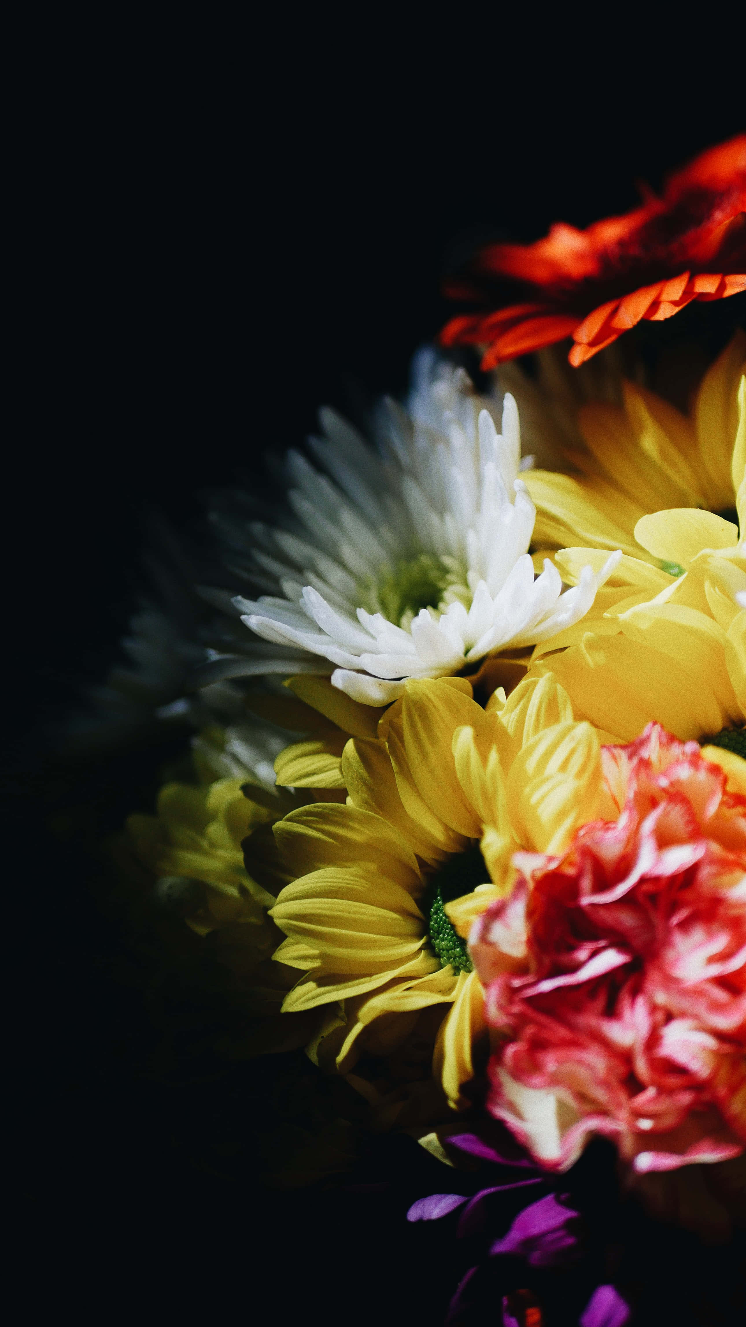 iPhone Flowers, vase, yellow flowers, 4K Phone Wallpaper
