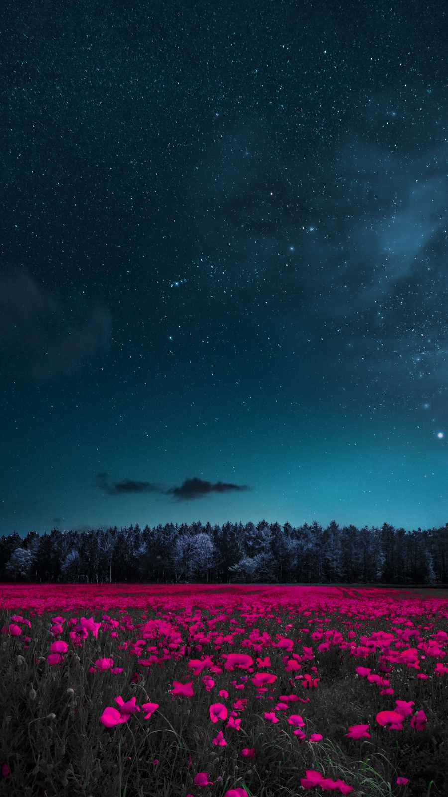 iPhone Flowers, pink flowers, starry night sky, HD Phone Wallpaper