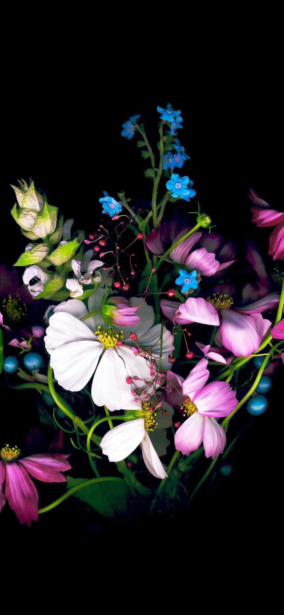 iPhone Flowers, pink, white, Full HD Phone Wallpaper