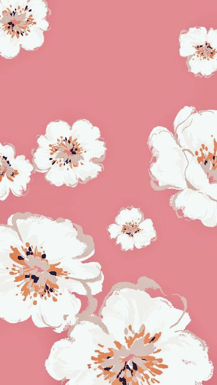 iPhone, white flowers, orange centers, HD Phone Wallpaper