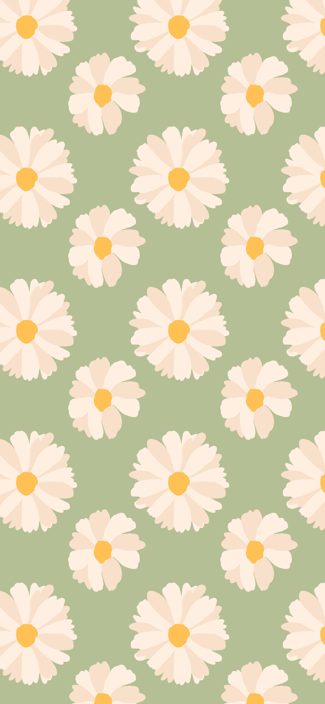 iPhone, daisies, cream petals, Full HD Phone Wallpaper
