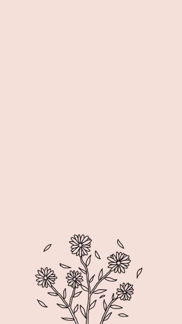 daisies, leaves, soft blush background, HD Phone Wallpaper
