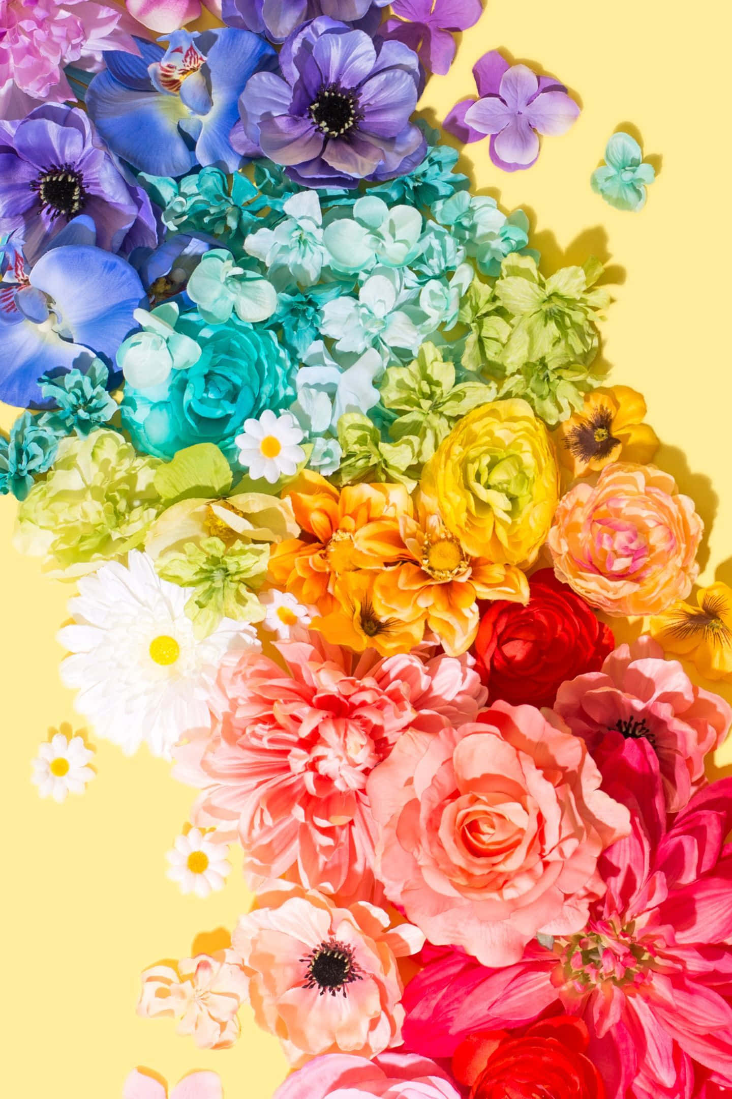 rainbow flower, iPhone, yellow background, Full HD Phone Wallpaper
