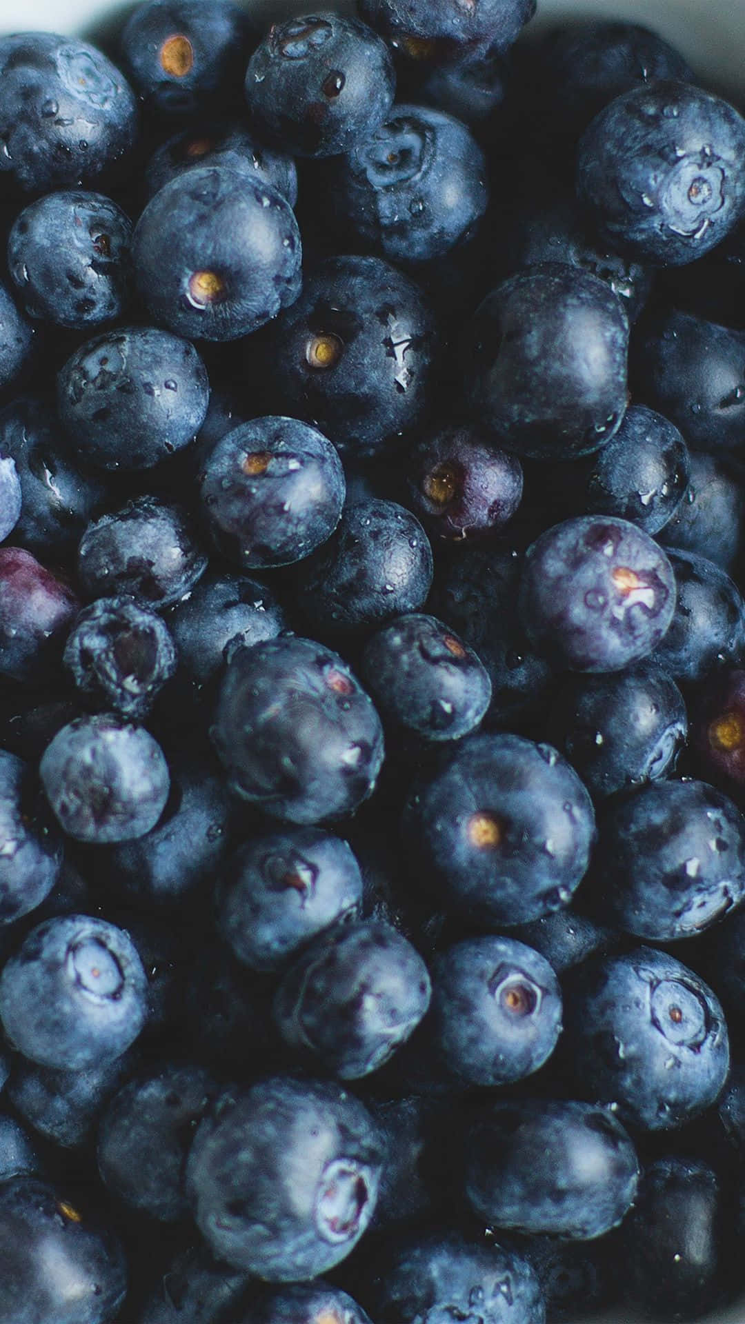 blueberries, dewdrops, soft light, Full HD Phone Wallpaper