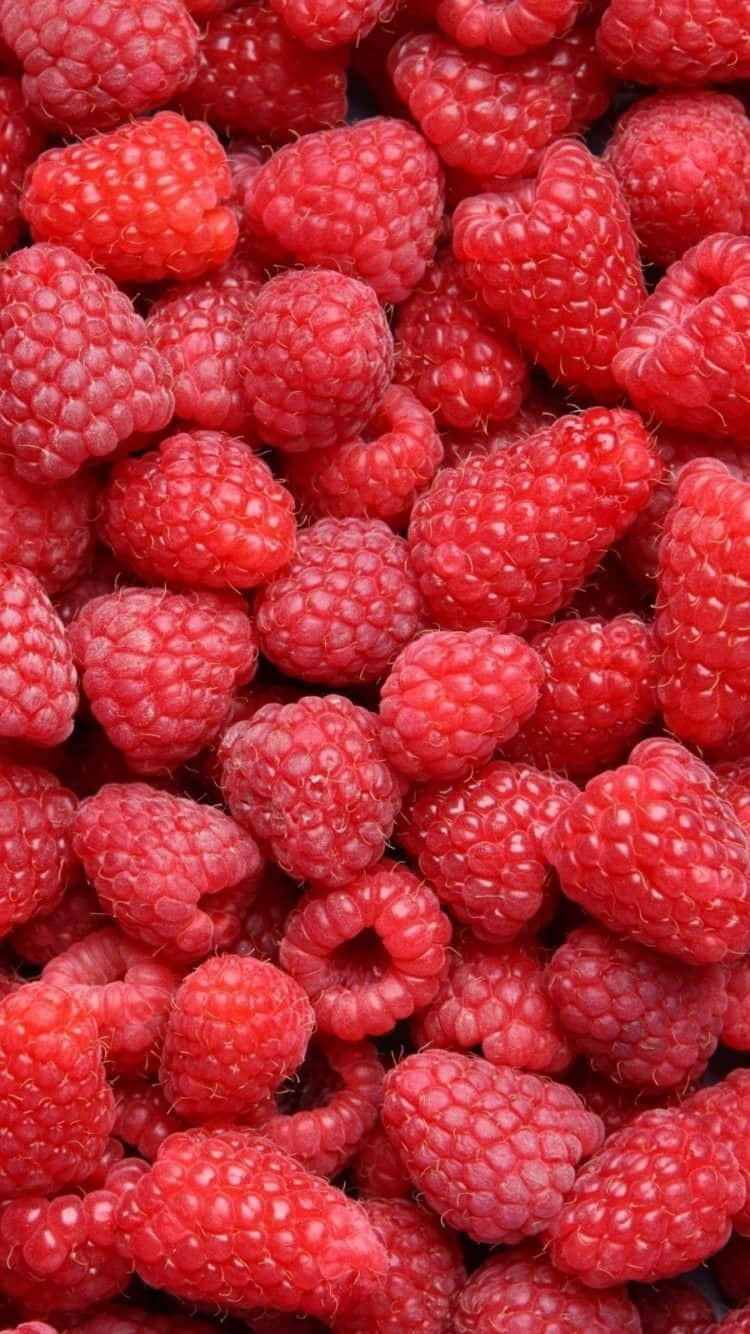 raspberries, red, close up, HD Phone Wallpaper