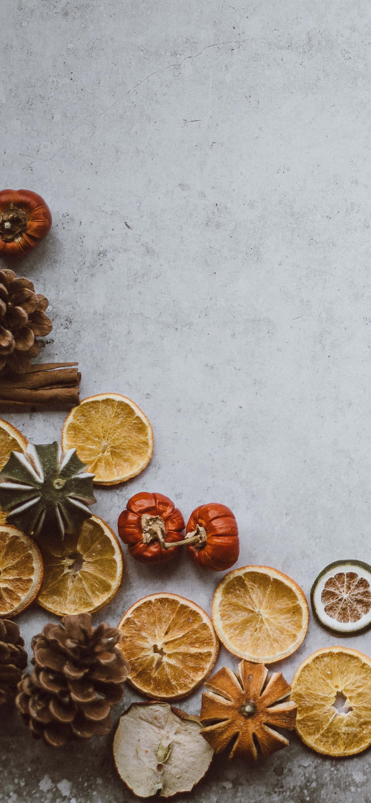 iPhone Food, dried citrus slices, pinecones, 2K Phone Wallpaper