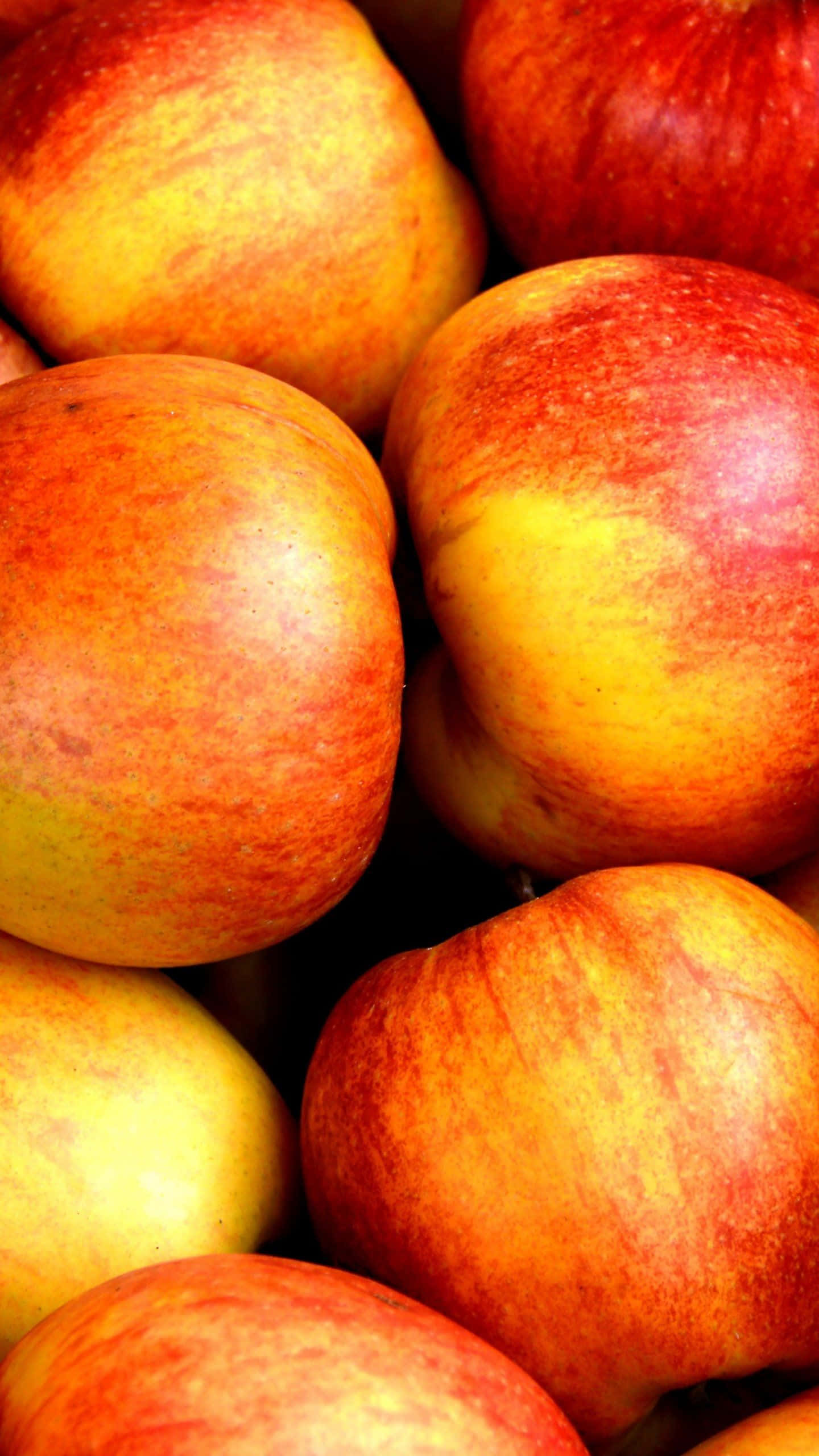 iPhone Food, ripe red apples, yellow apples, 2K Phone Wallpaper