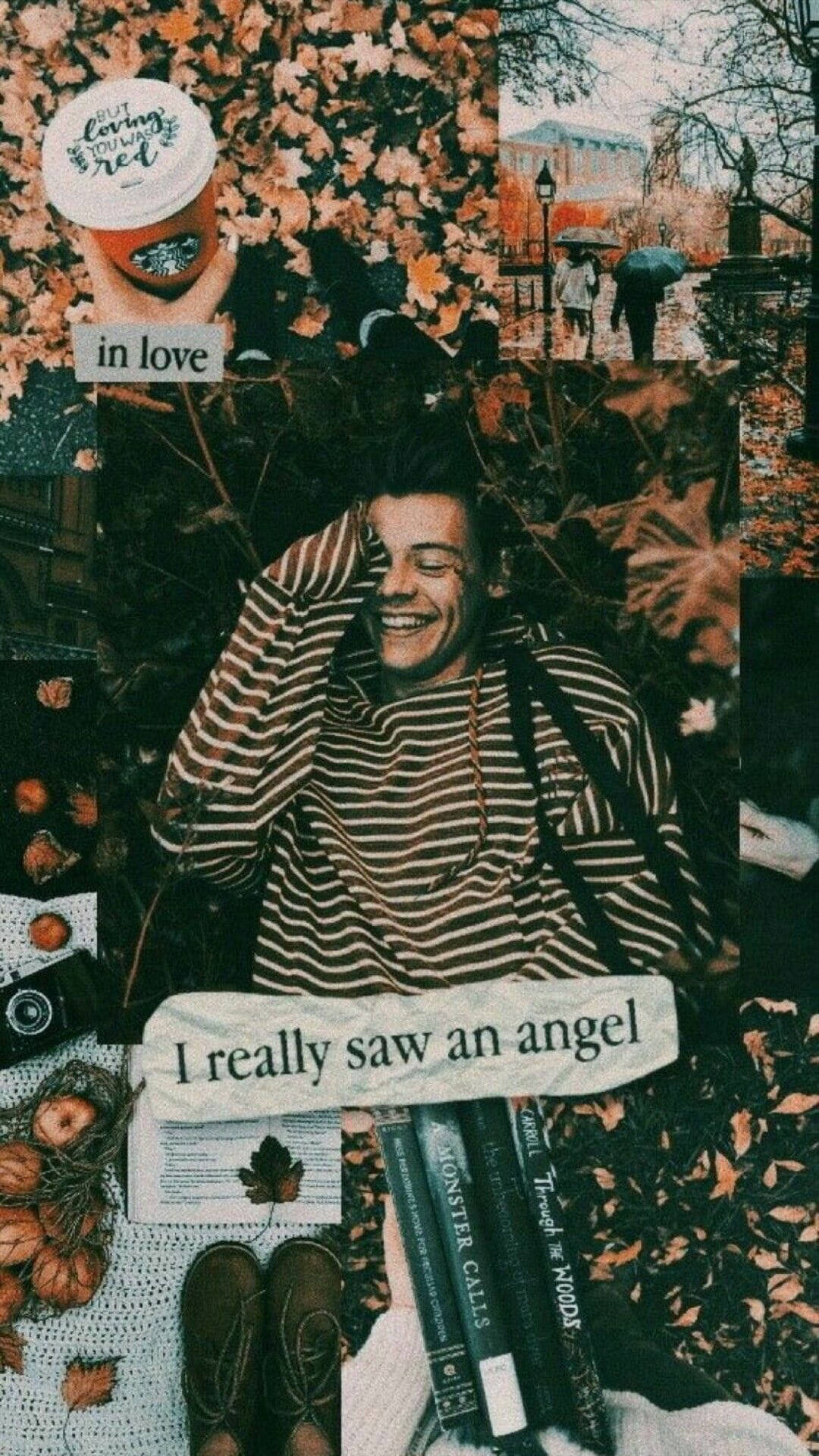 Harry Styles, iPhone, autumn leaves, Full HD Phone Wallpaper