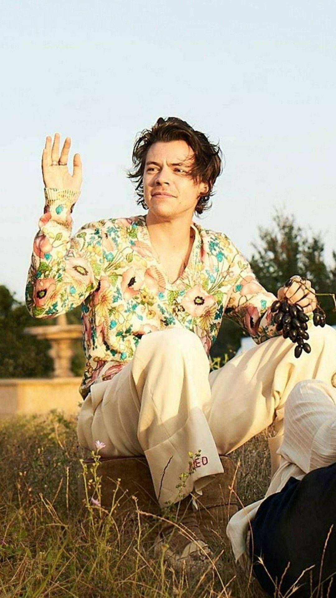 iPhone Harry Styles, floral polo, sunlit field, Full HD Phone Wallpaper