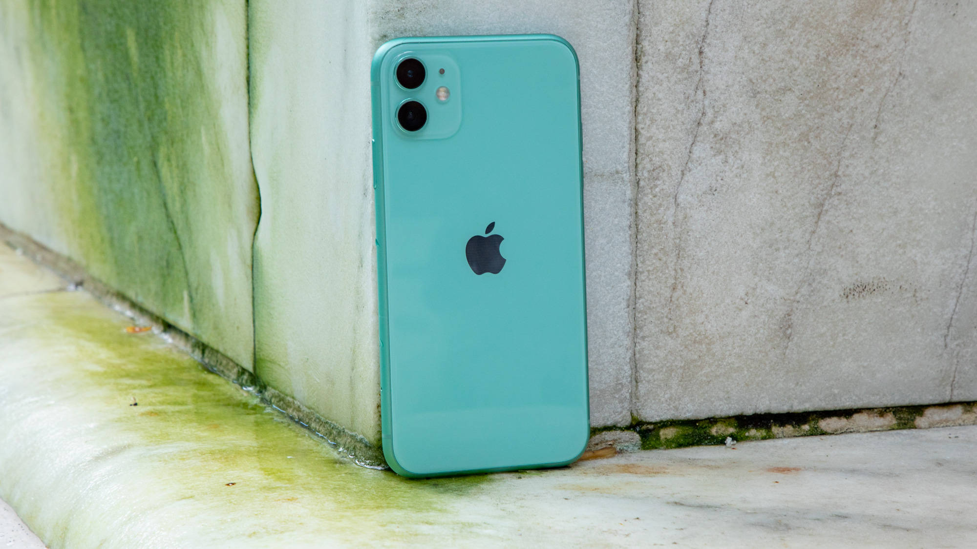 iPhone 11, mint green, weathered concrete wall, Full HD Desktop Wallpaper