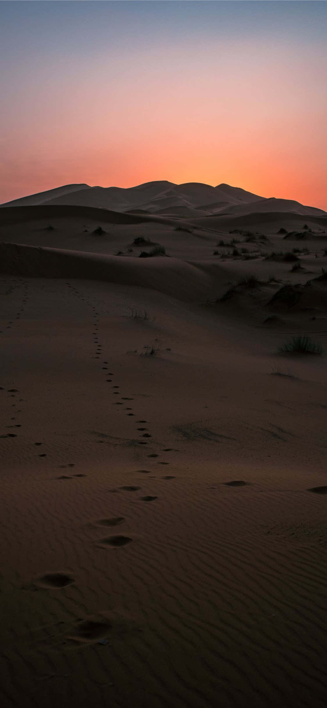 desert, sand dunes, distant mountains, Full HD Phone Wallpaper