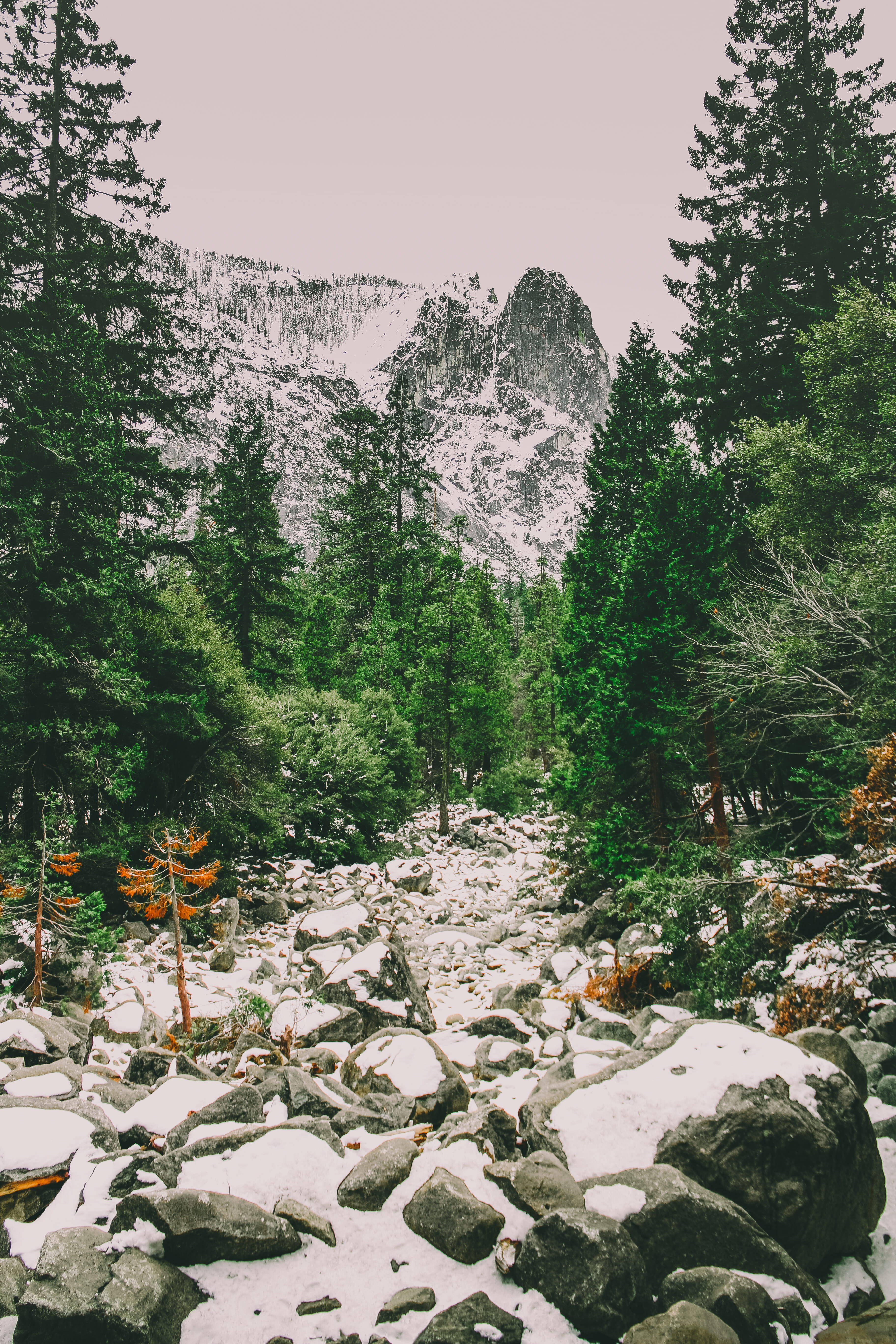 rocky path, snowy path, rugged rocks, 5K Phone Wallpaper
