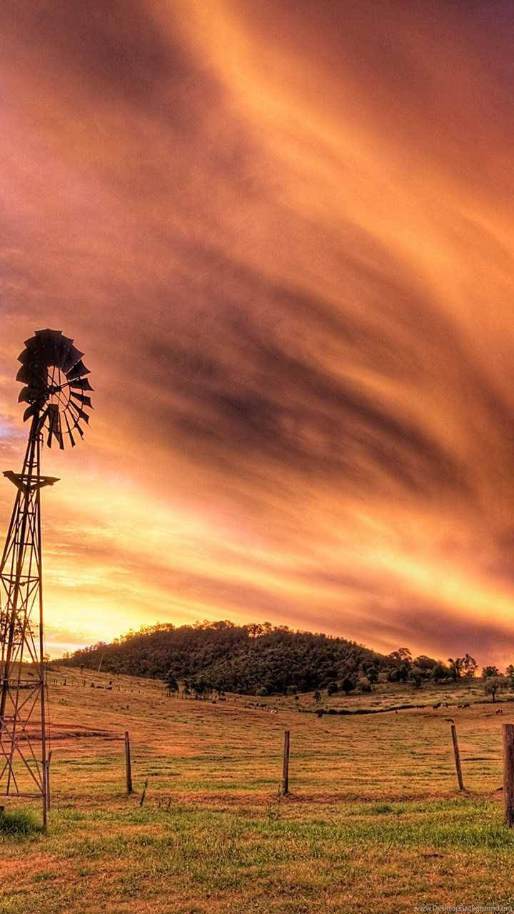 windmill, golden field, fiery sunset sky, HD Phone Wallpaper