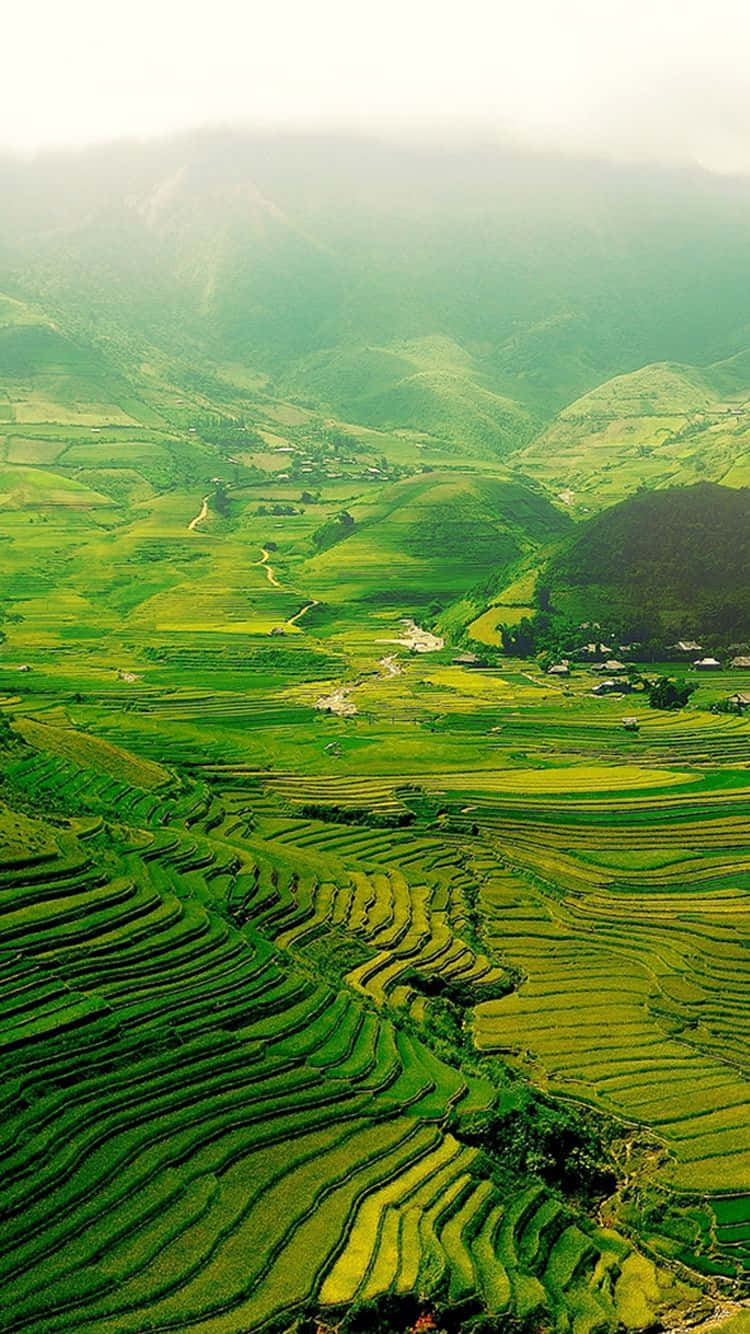 green nature, terraced rice fields, misty mountain valleys, HD Phone Wallpaper