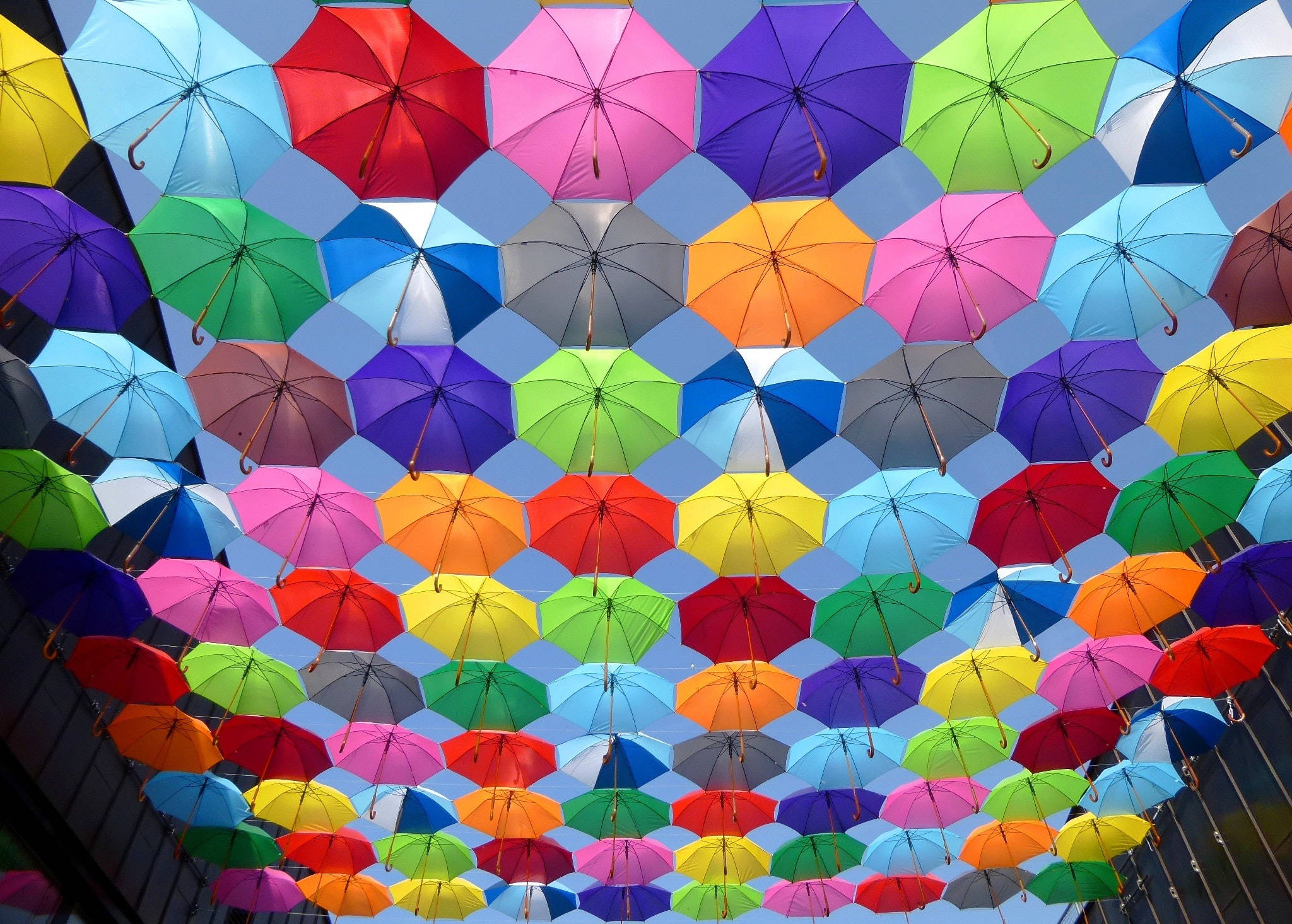 4K, iPhone, colorful open umbrellas, Full HD Desktop Wallpaper