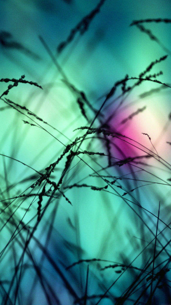 Grass Silhouette, iPhone Live, teal, SD Phone Wallpaper