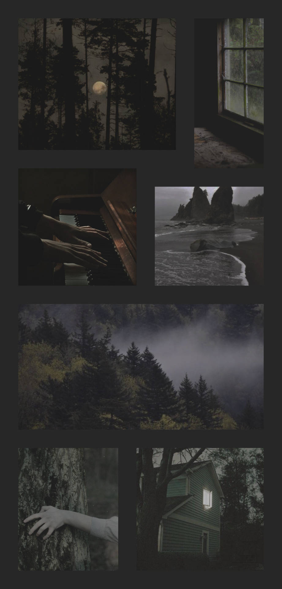 Twilight Aesthetic, dark forest, moonlit piano hands, Full HD Phone Wallpaper