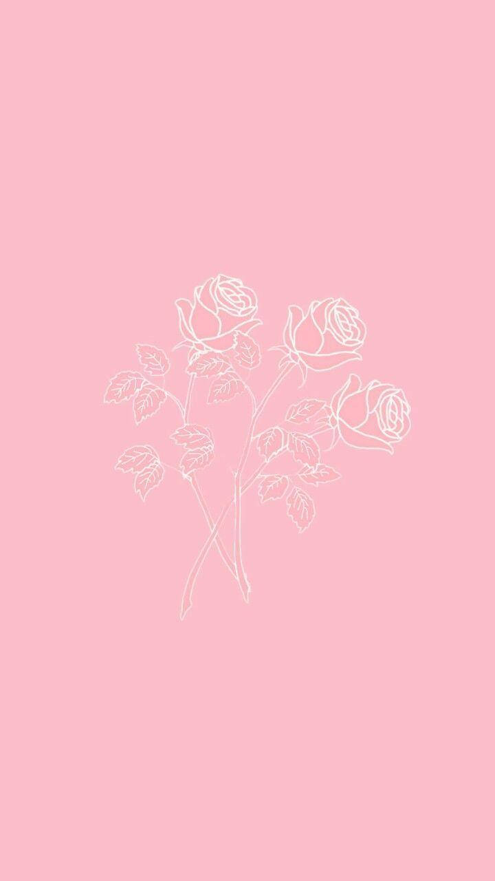 iPhone Pink Aesthetic, roses, pastel pink background, HD Phone Wallpaper