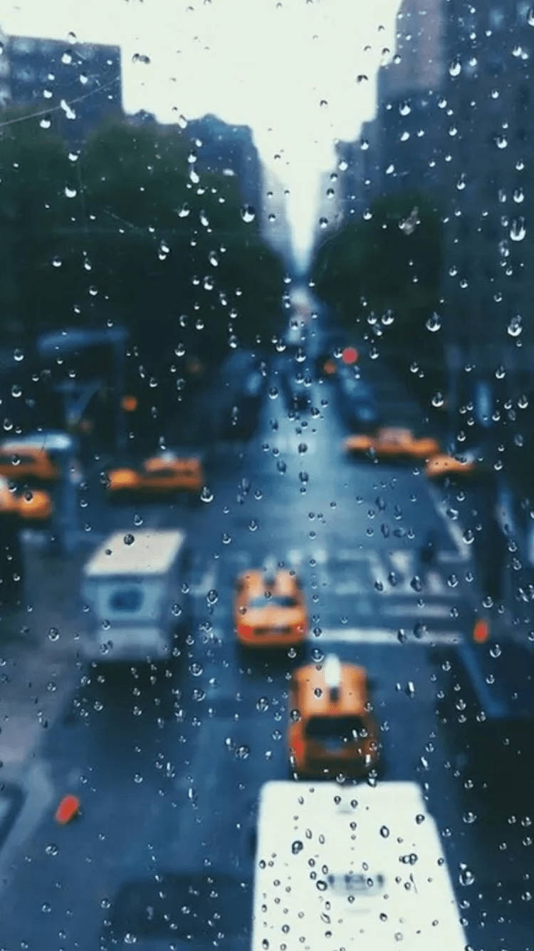 iPhone Rain, yellow taxis, city buildings, HD Phone Wallpaper