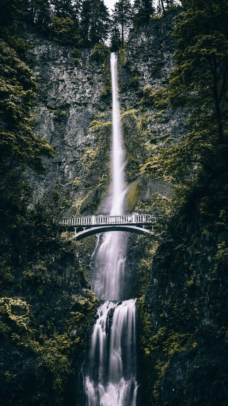 iPhone SE 2020, waterfall, mossy cliff, HD Phone Wallpaper