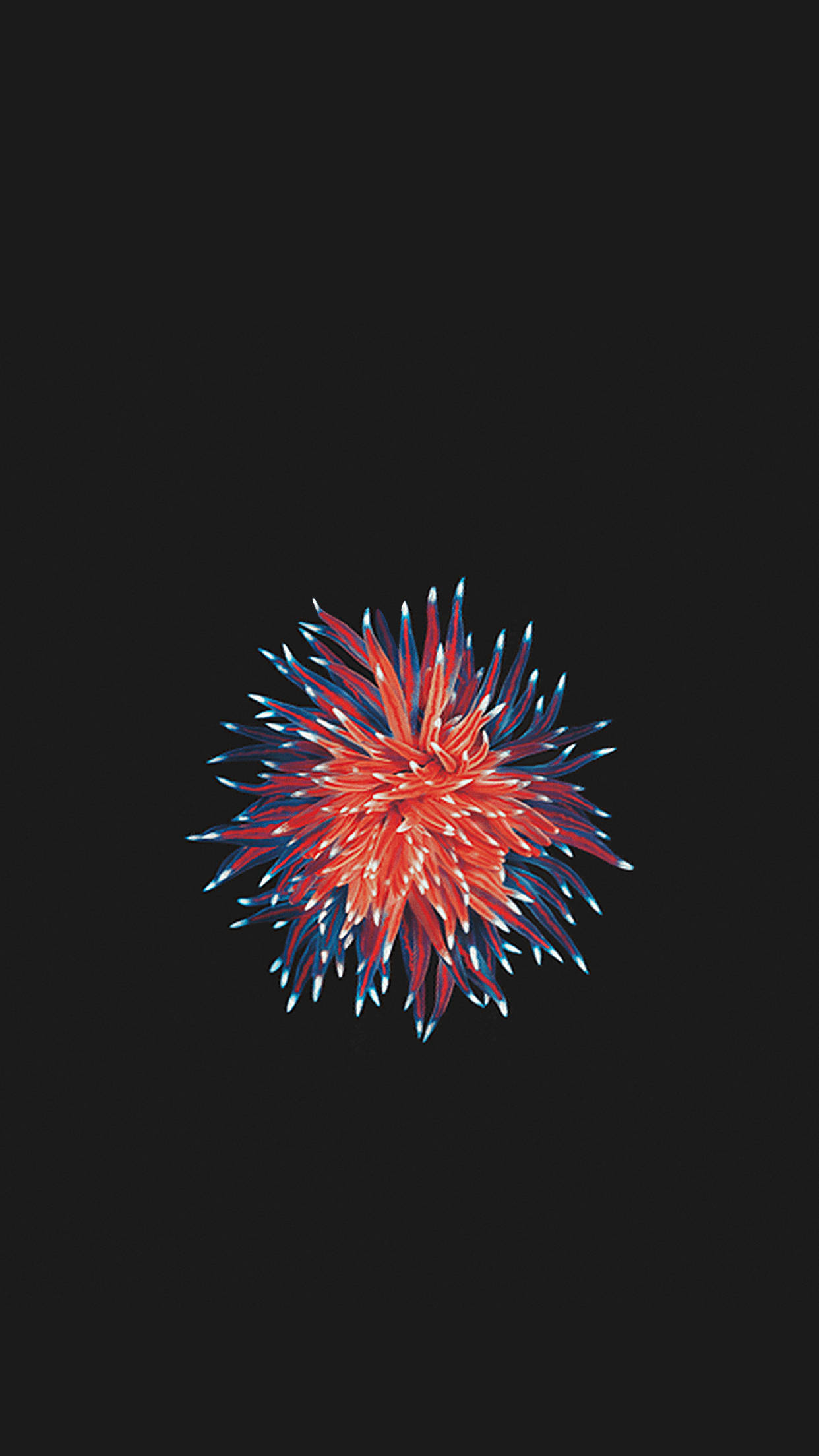 red and blue organism, iPhone Se, fireworks burst, Full HD Phone Wallpaper