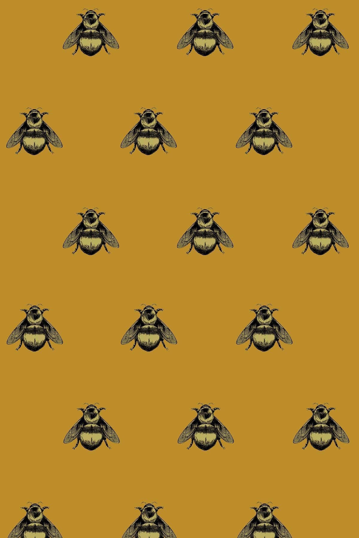 bees, black and yellow bees, mustard yellow background, HD Phone Wallpaper