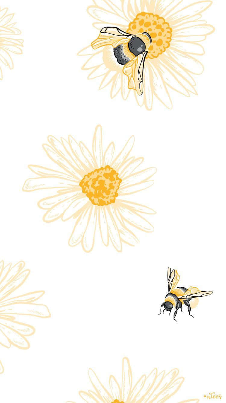 bee, daisies, white flowers, HD Phone Wallpaper
