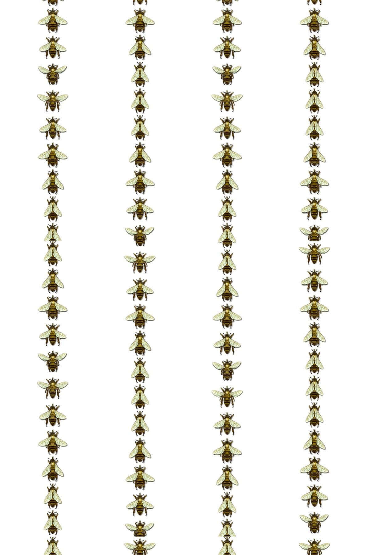 golden bees, translucent wings, stark white background, HD Phone Wallpaper