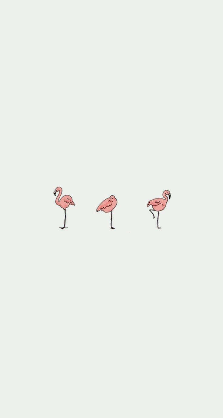 iPhone Simple Cute, flamingos, pink, HD Phone Wallpaper