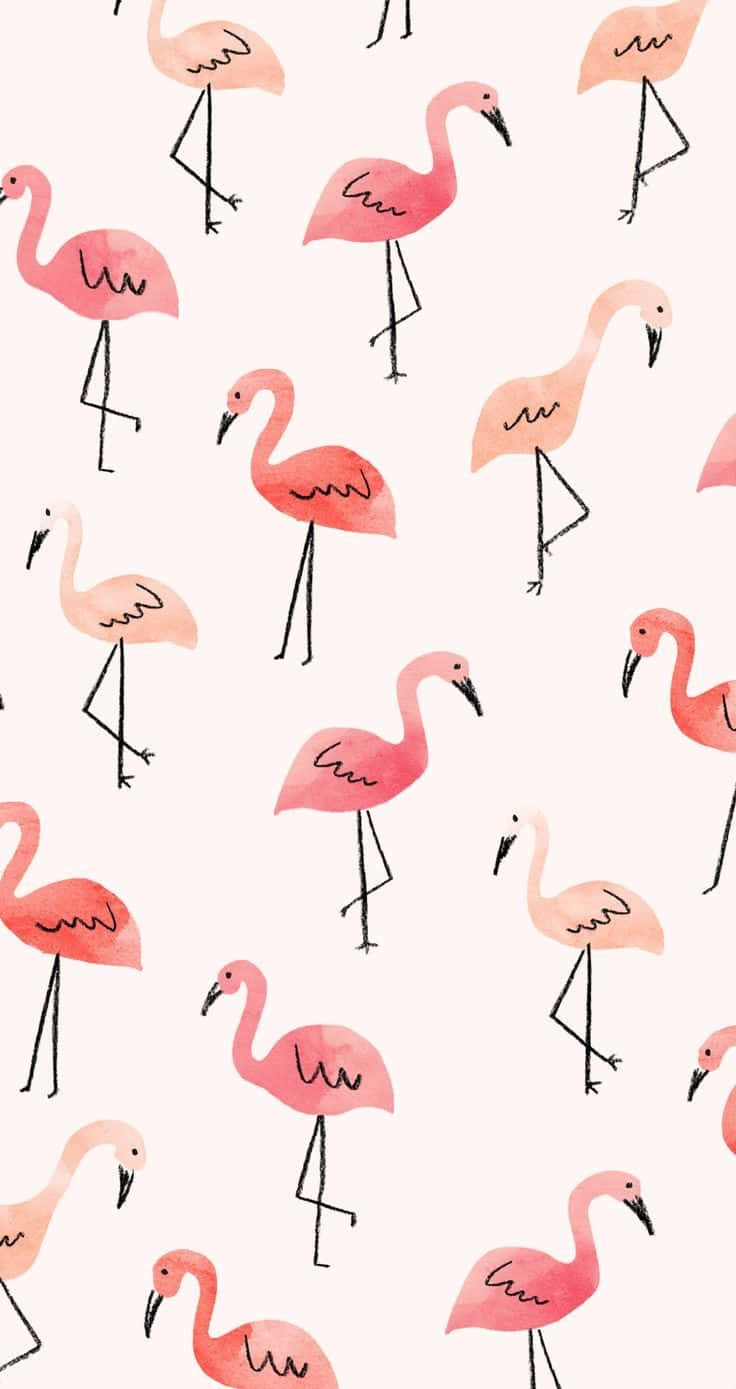 pink flamingos, watercolor style, soft blush background, HD Phone Wallpaper
