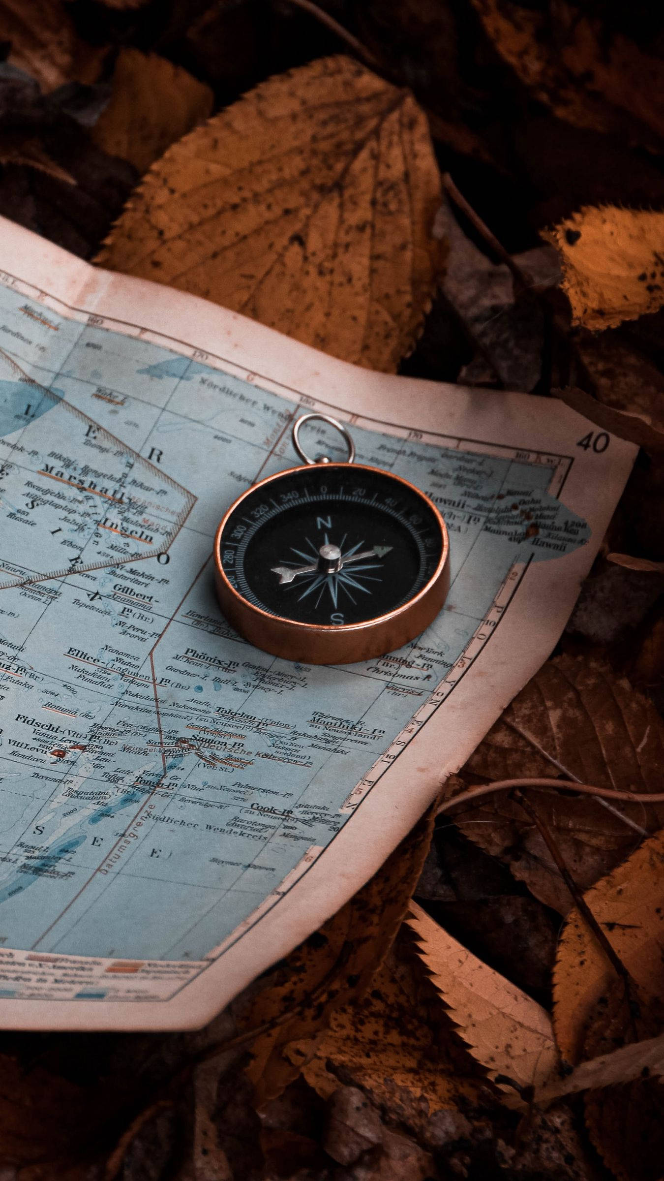 vintage brass compass, old map, autumn leaves, Full HD Phone Wallpaper