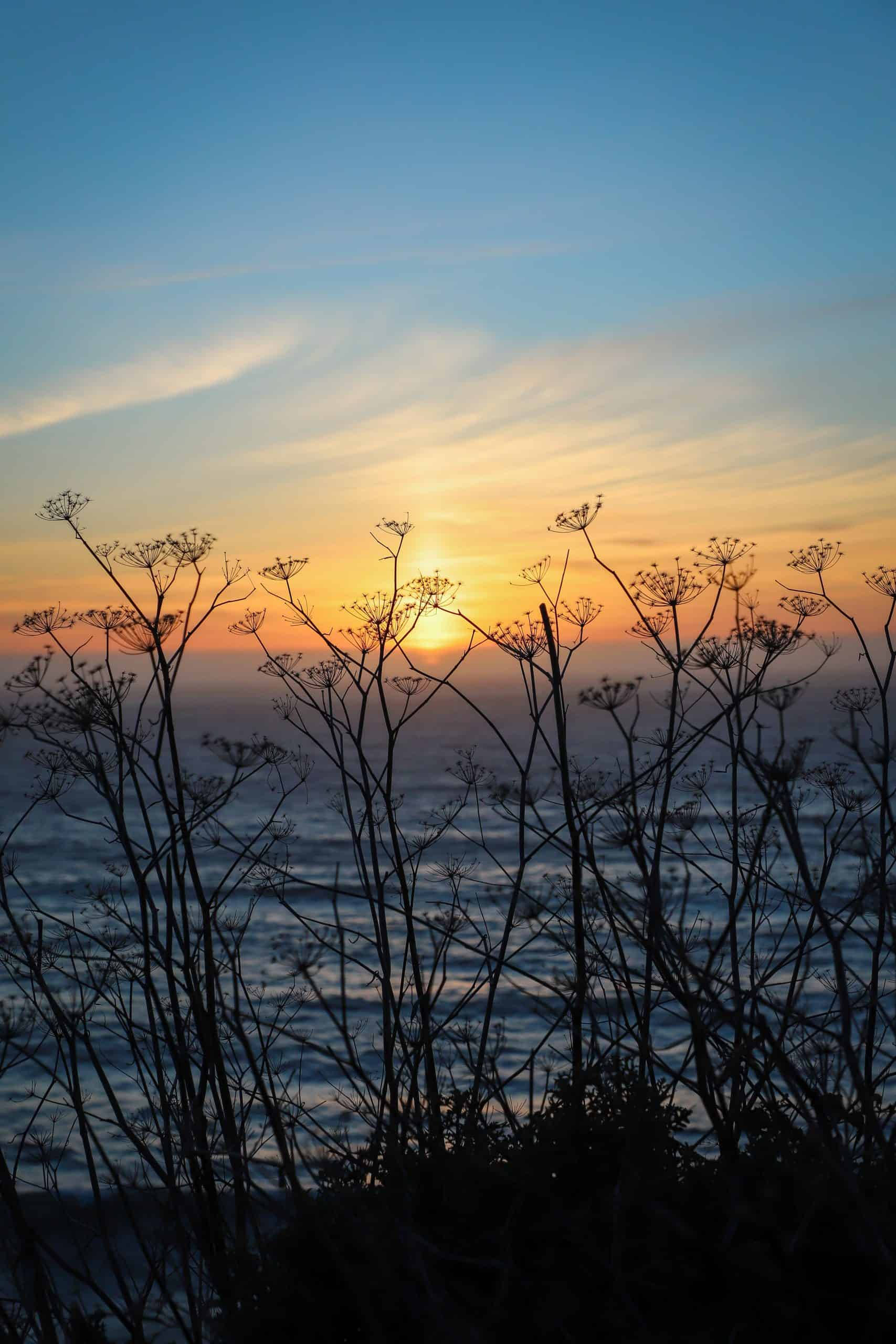 iPhone, sunset, ocean, 2K Phone Wallpaper