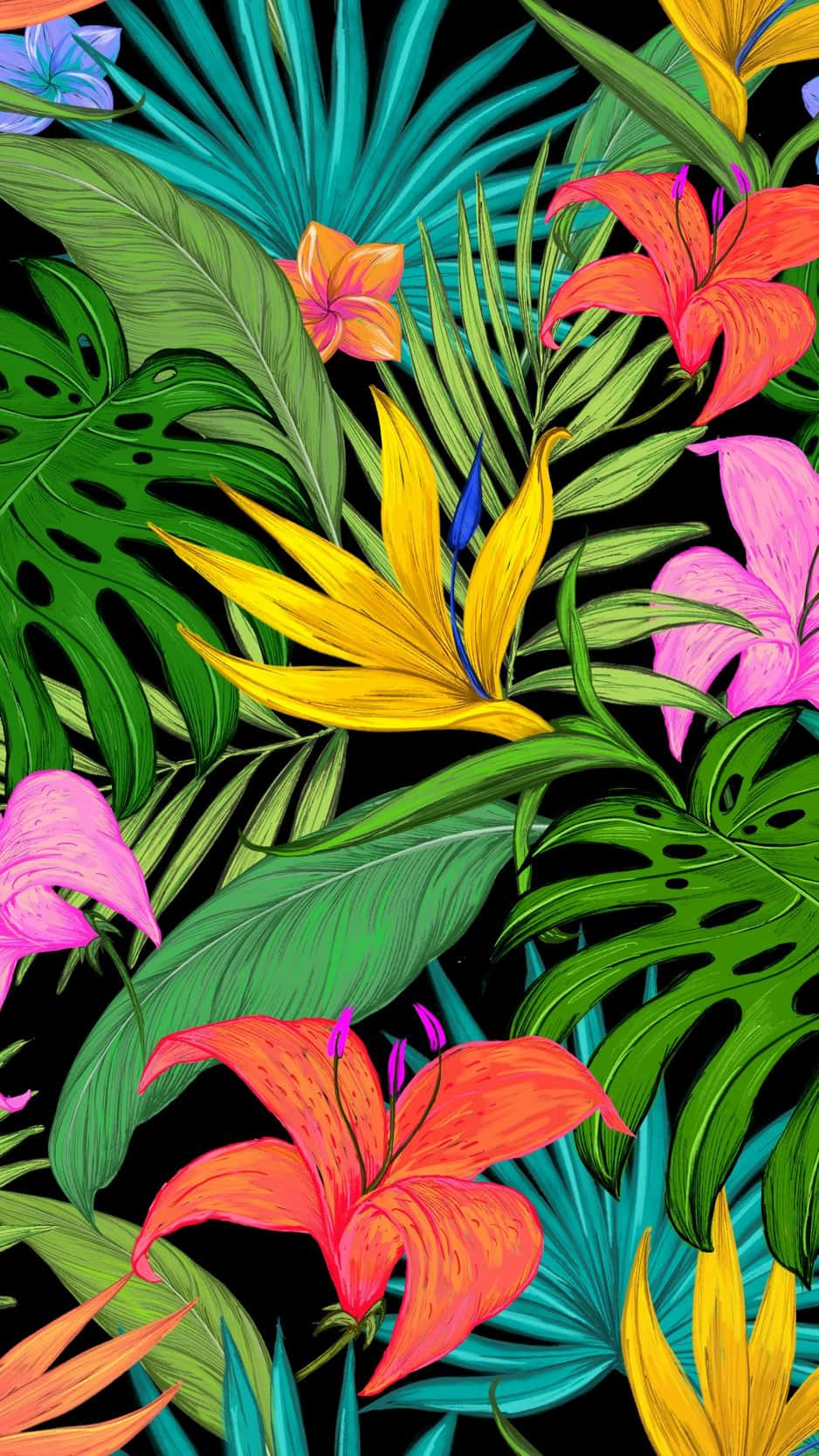 tropical, iPhone, vibrant tropical flowers, HD Phone Wallpaper