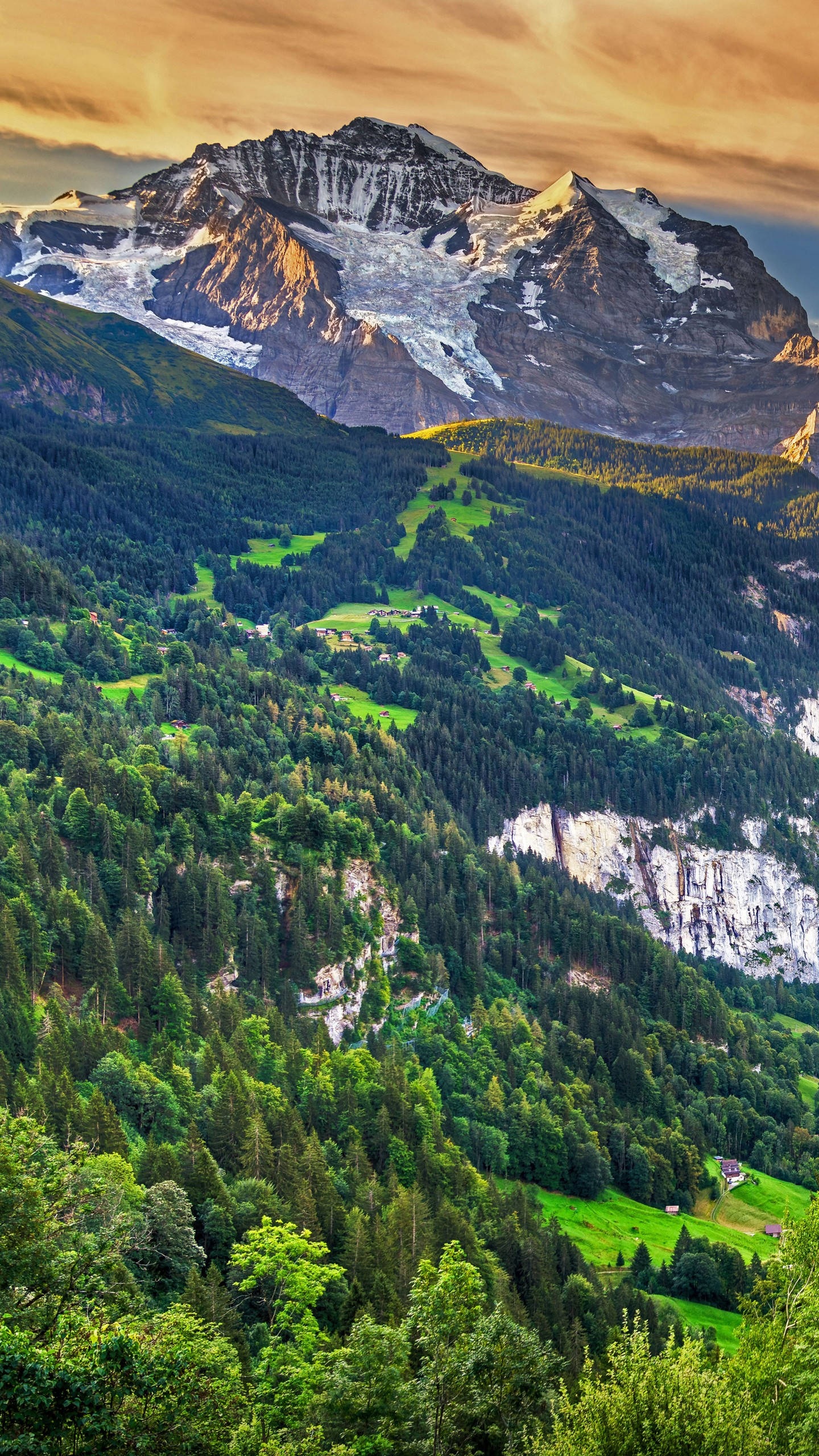 mountain range, green forest, golden sunset, 2K Phone Wallpaper