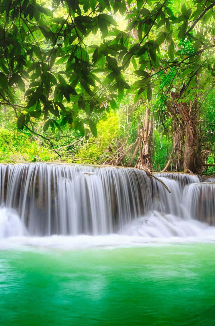 iPhone Waterfall, tropical waterfall, lush green foliage, SD Phone Wallpaper