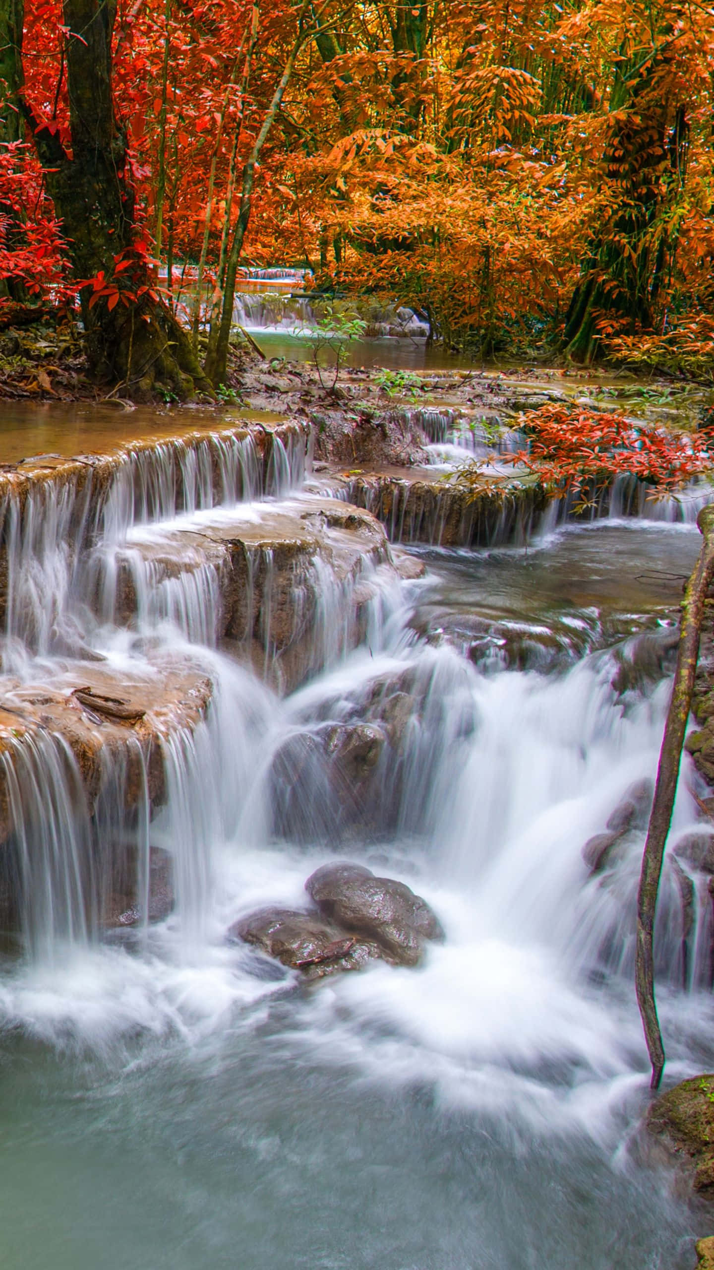 iPhone Waterfall, autumn stream, mossy rocks, 2K Phone Wallpaper