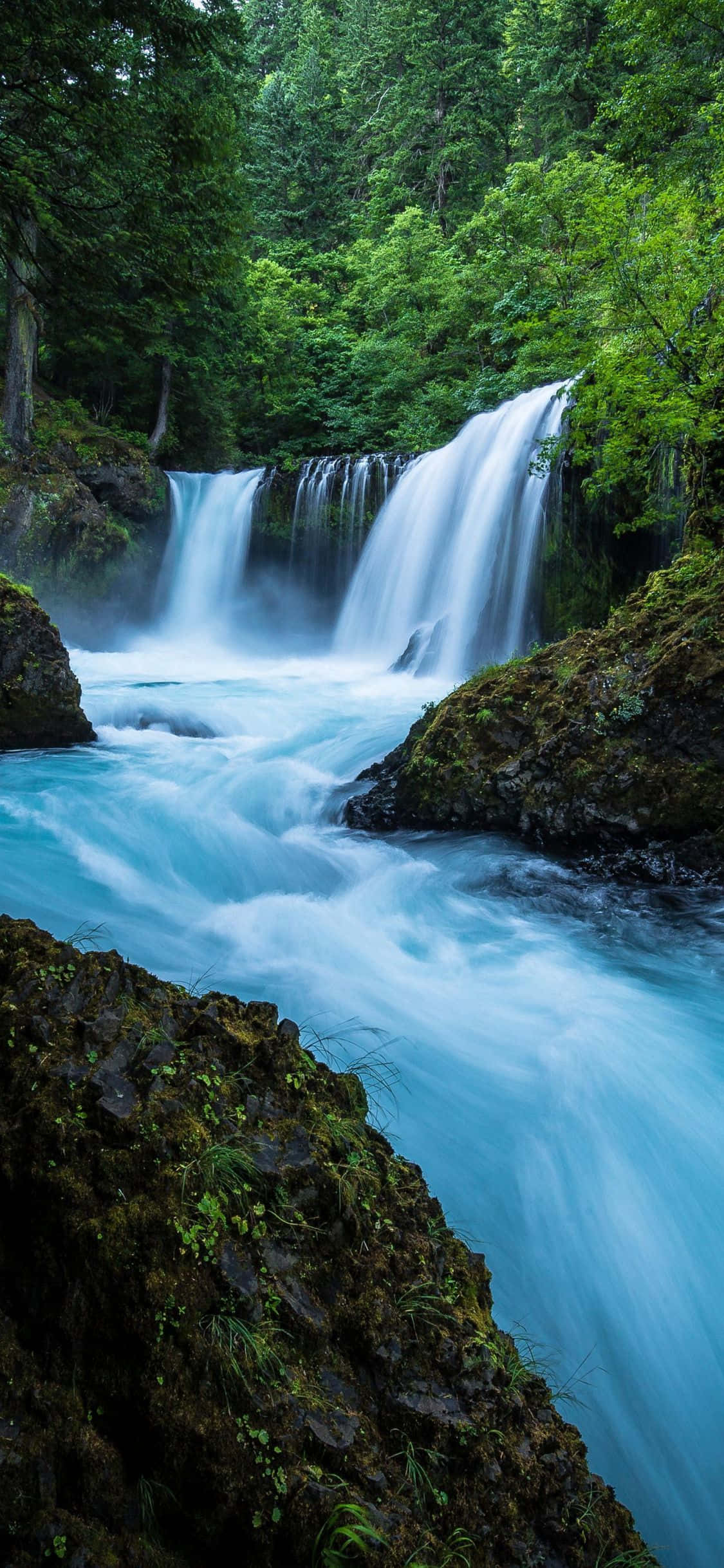 iPhone Waterfall, waterfall, lush green forest, Full HD Phone Wallpaper