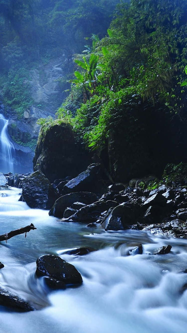iPhone Waterfall, waterfall, jungle, HD Phone Wallpaper