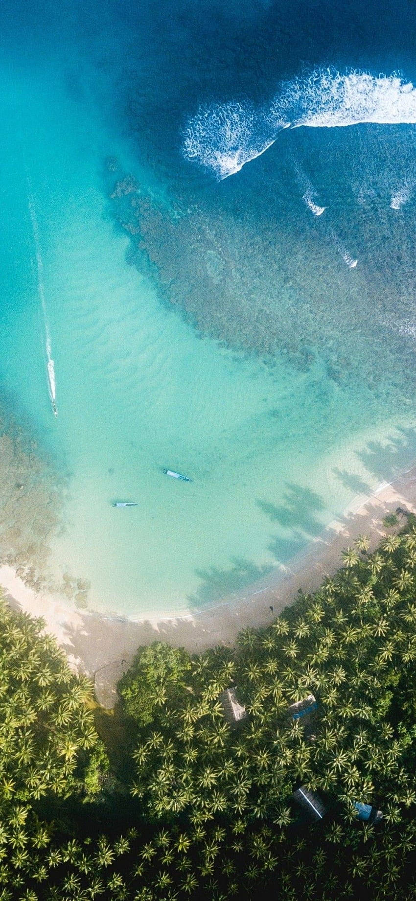 iPhone X, beach, forested island, HD Phone Wallpaper
