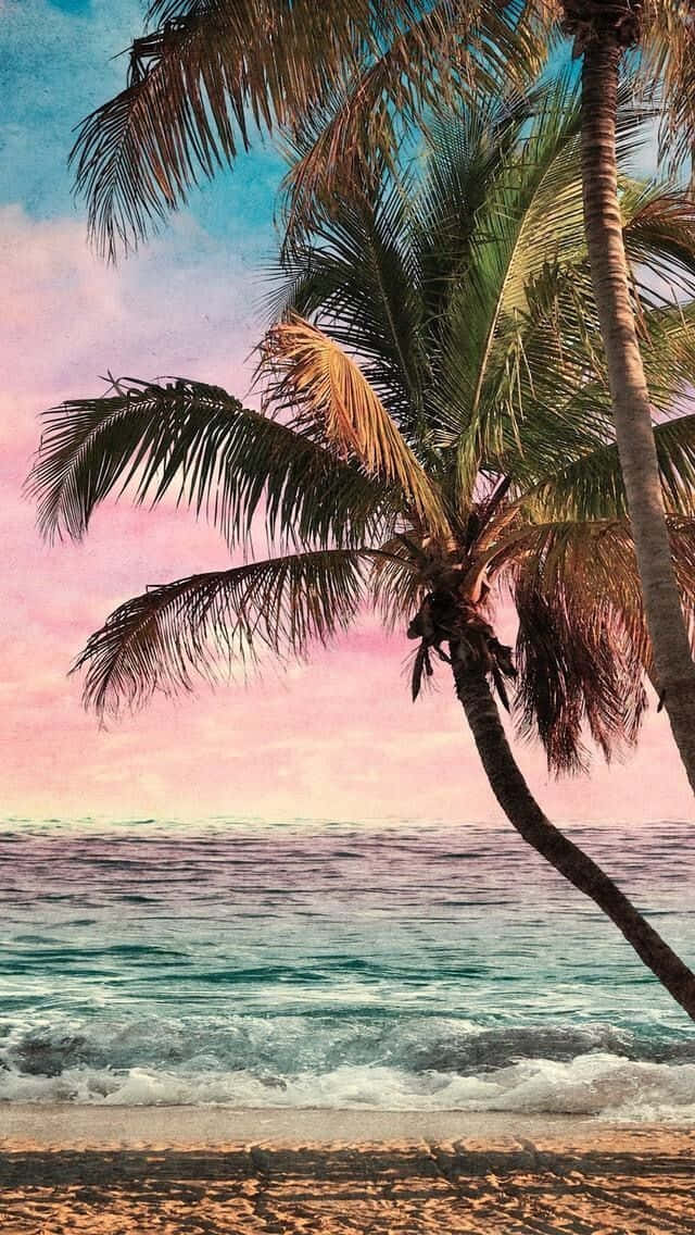 iPhone, palm tree, turquoise waves, SD Phone Wallpaper