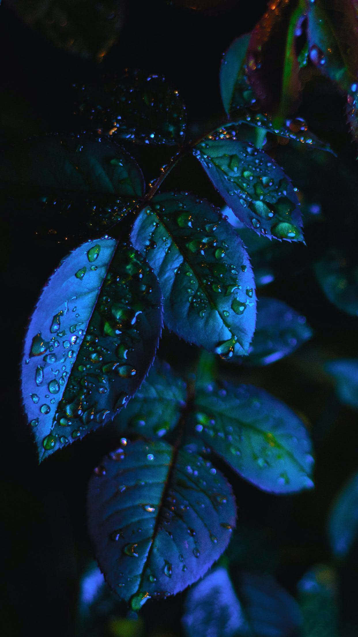 iPhone X, OLED, deep blue-green, Full HD Phone Wallpaper