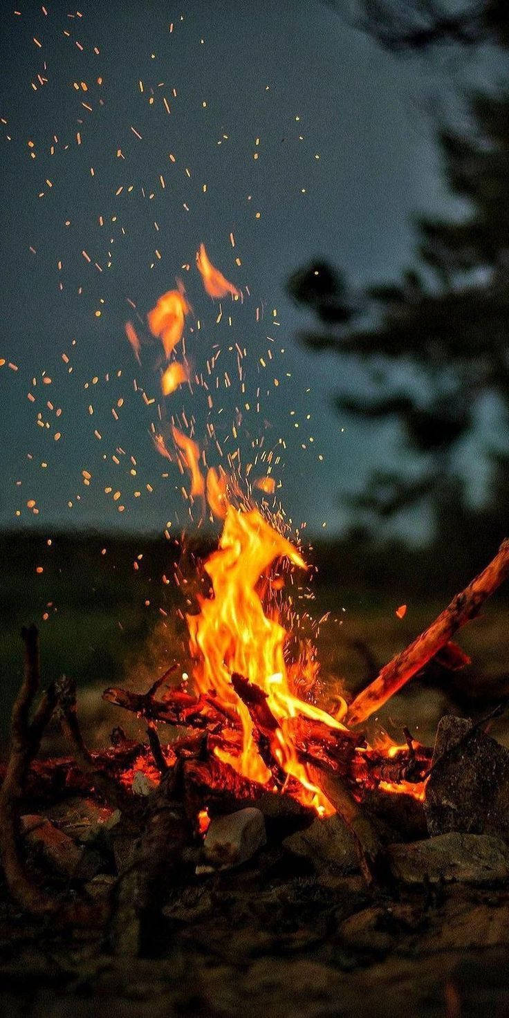 iPhone Xr, forest, campfire, HD Phone Wallpaper