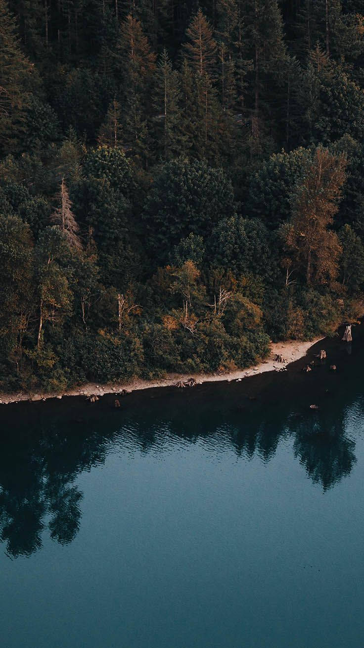 iPhone XR, forest, lake, HD Phone Wallpaper