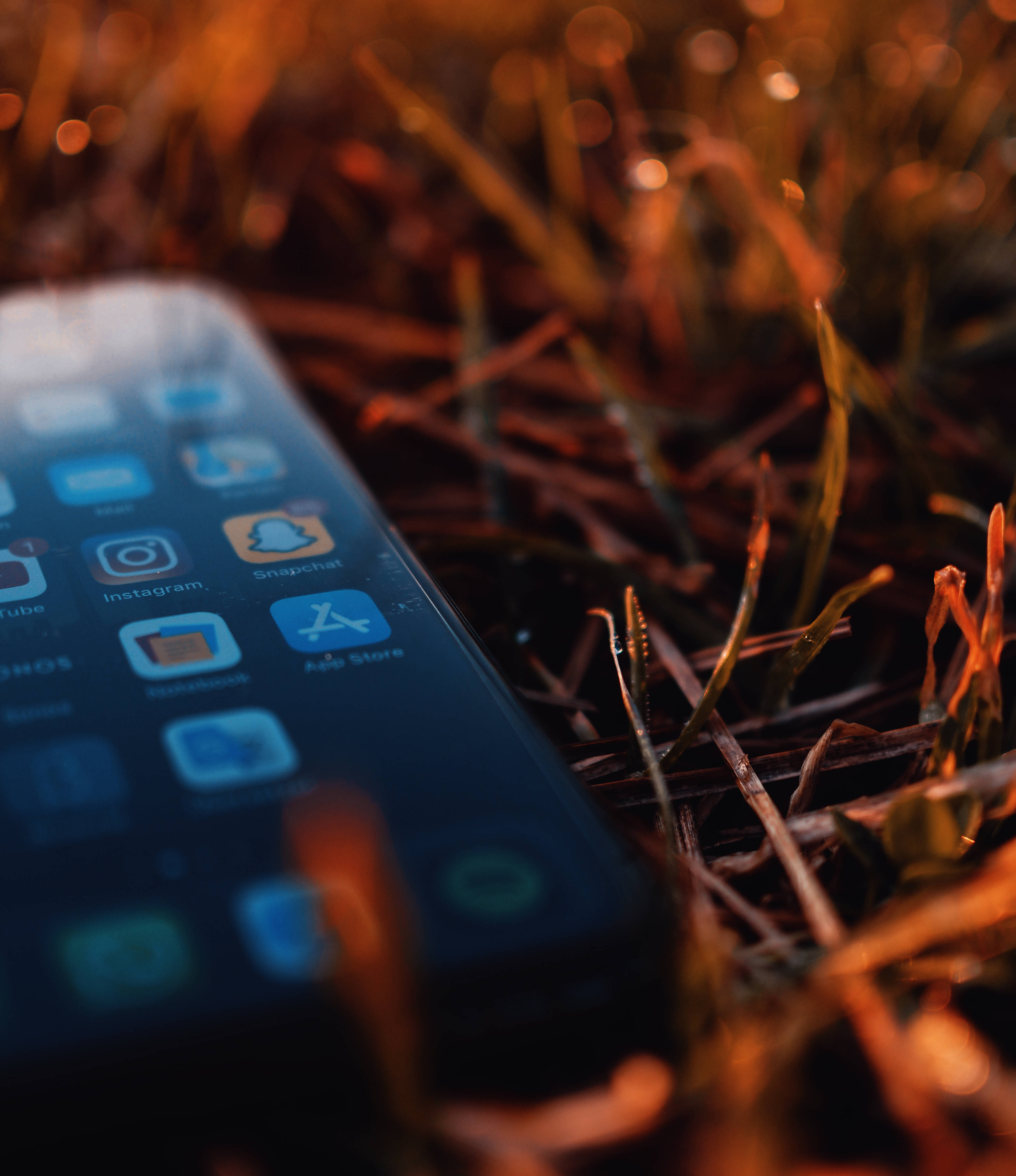 iPhone Xs, Space Grey, golden grass, 4K Phone Wallpaper