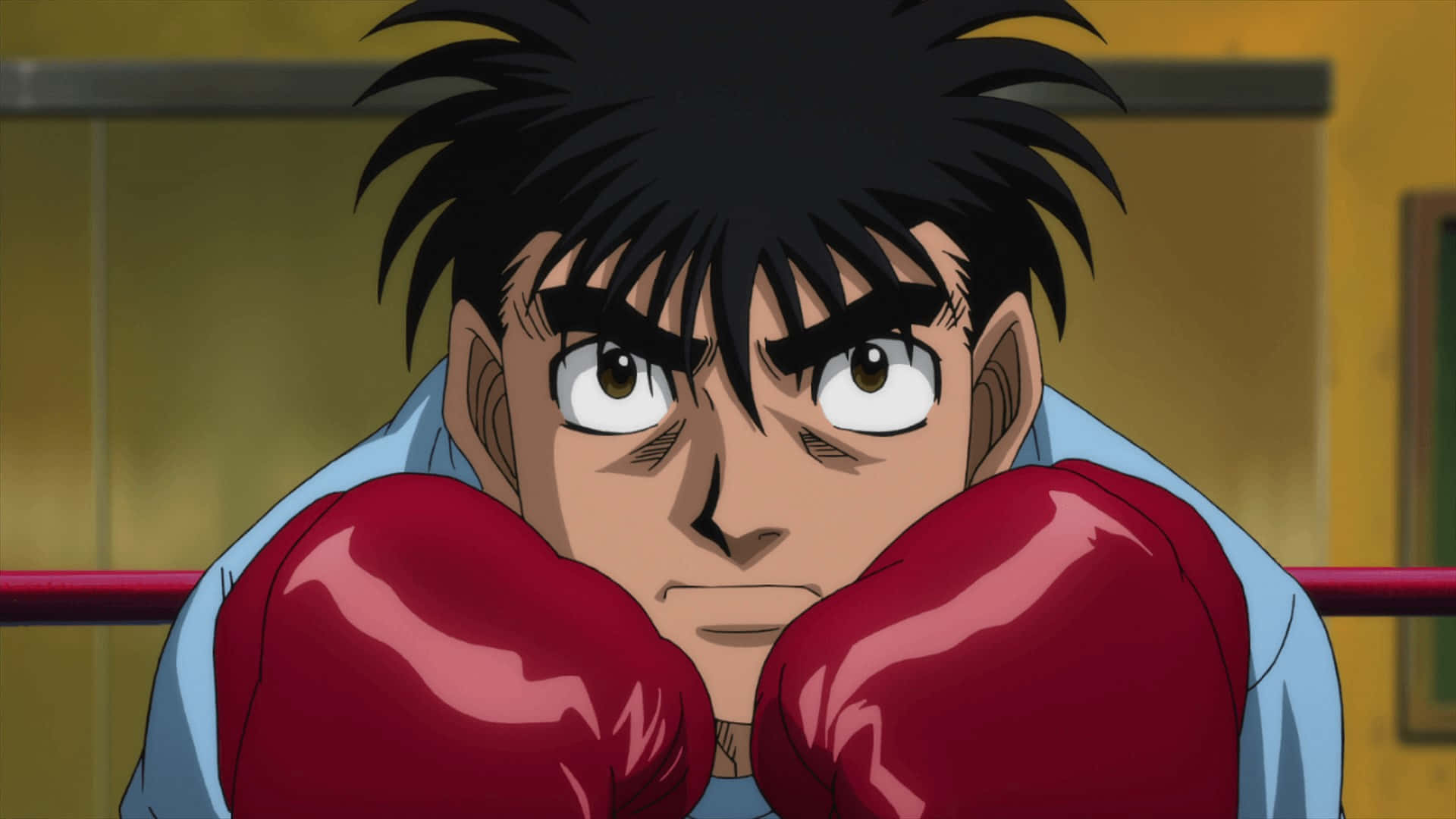 Ippo Makunouchi, boxing ring, spiky black hair, Full HD Desktop Wallpaper