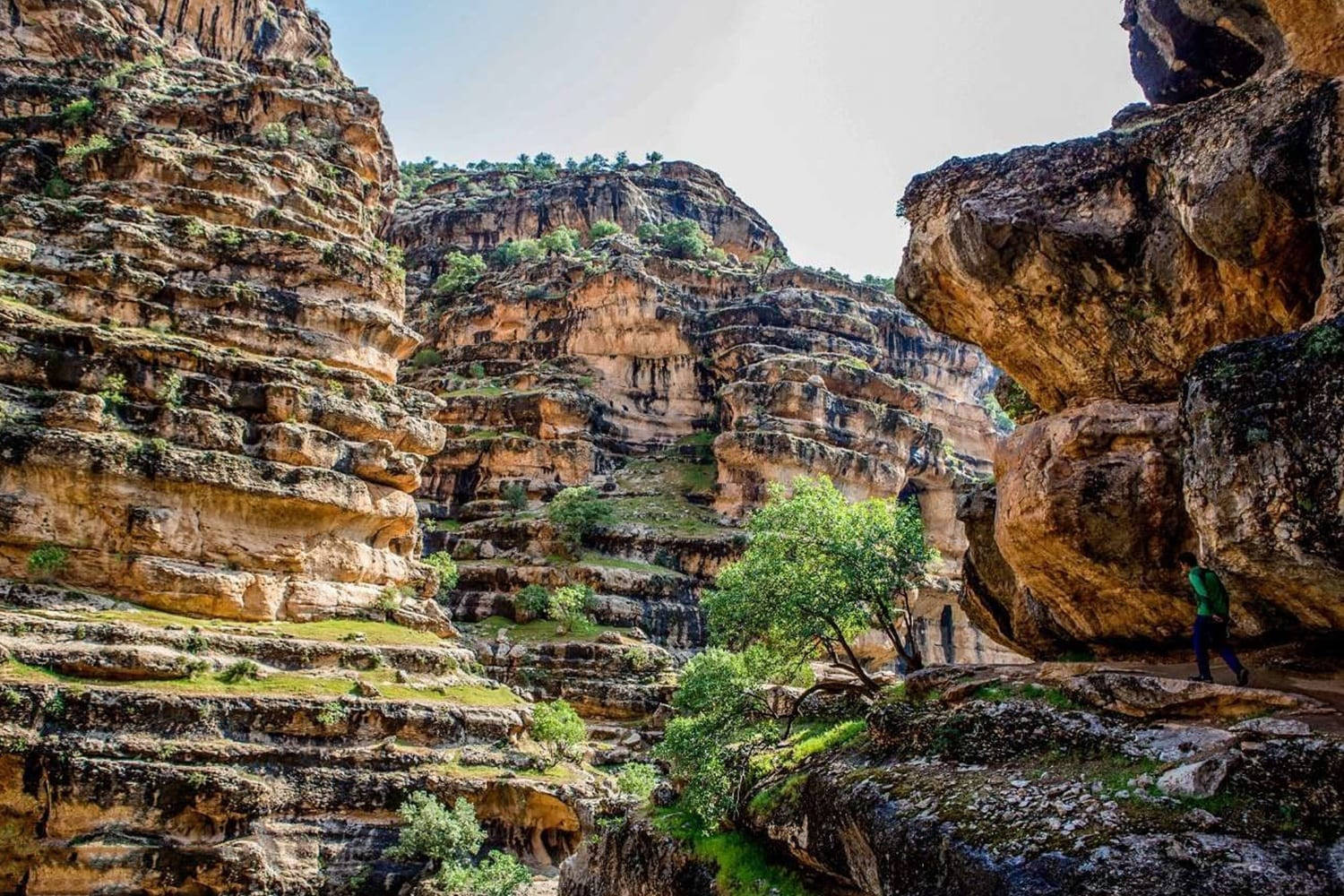 scenic cliffs in iran, sunlit canyon, towering layered rock walls, HD Desktop Wallpaper
