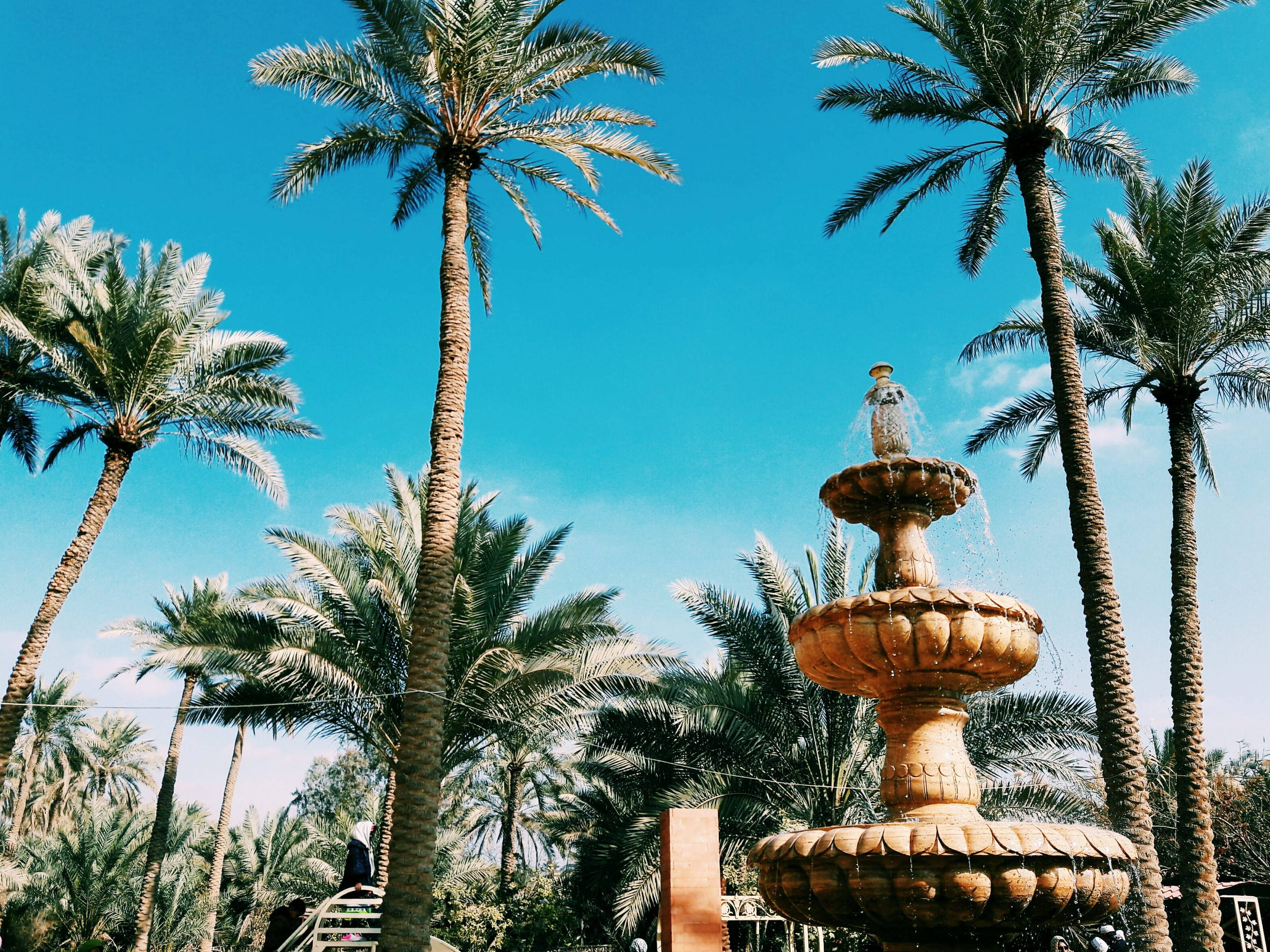 Iraq, palm trees, golden tiered fountain, 2K Desktop Wallpaper
