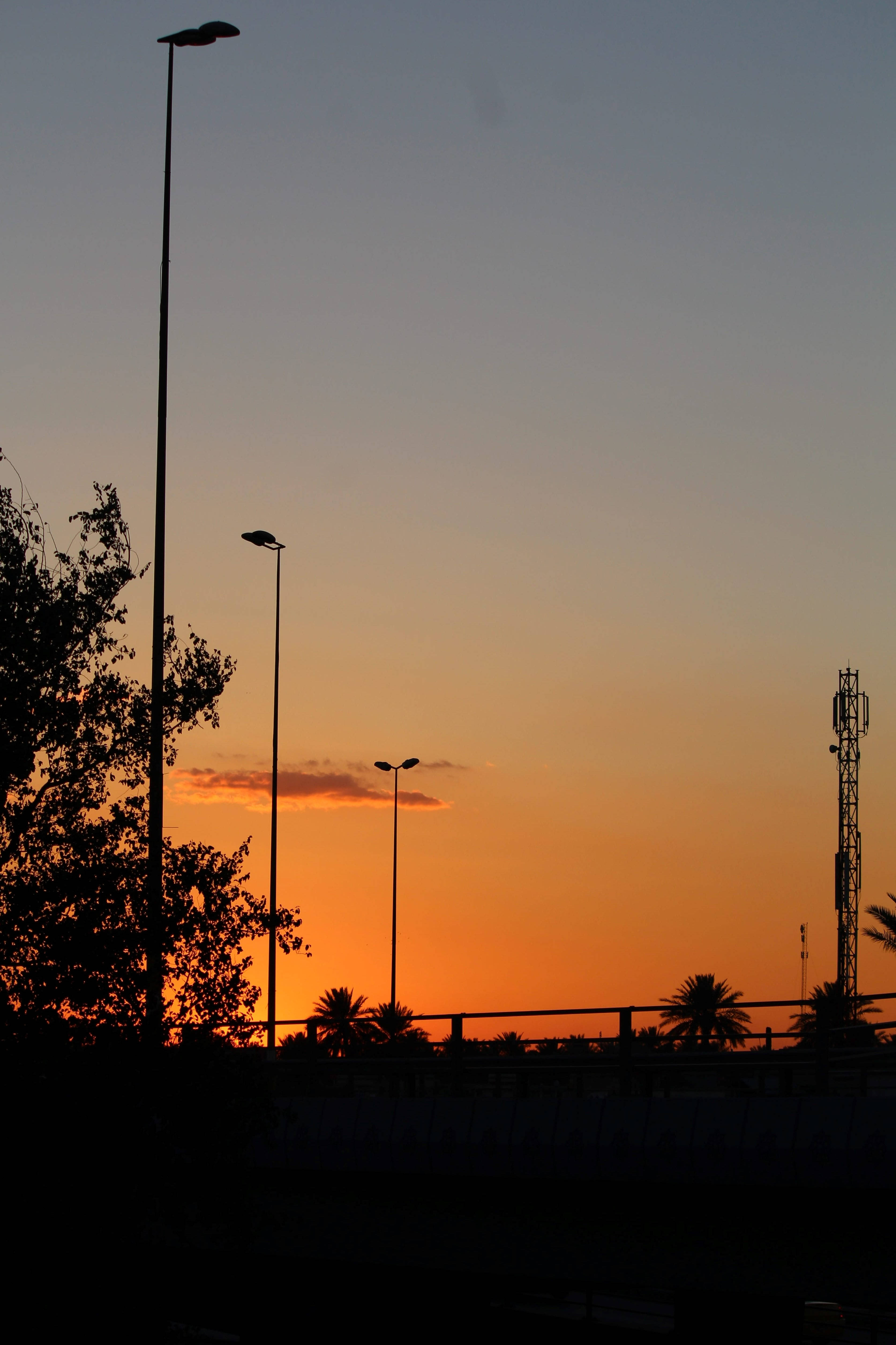 Iraq, streetlight, palm trees, 4K Phone Wallpaper